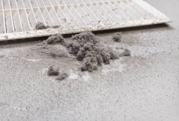 Best Best Air Duct Cleaning Company  in Cape Coral, FL